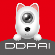 ddpai icon