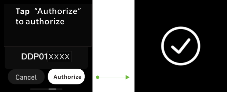 Authorize- button