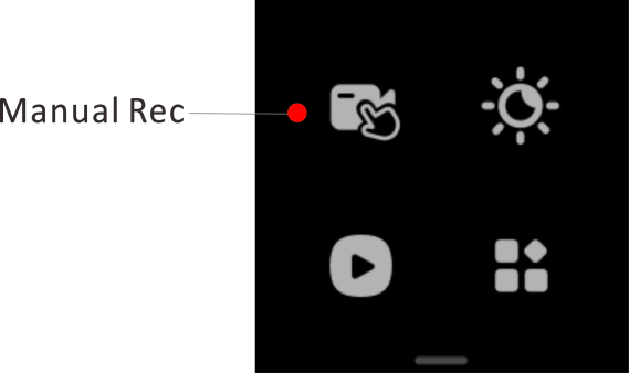 Manual Recording
