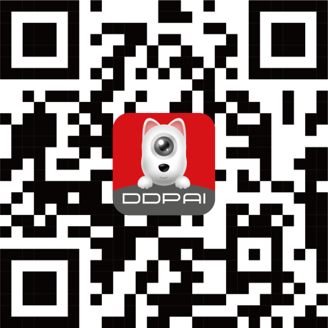 ddpai app qrcode