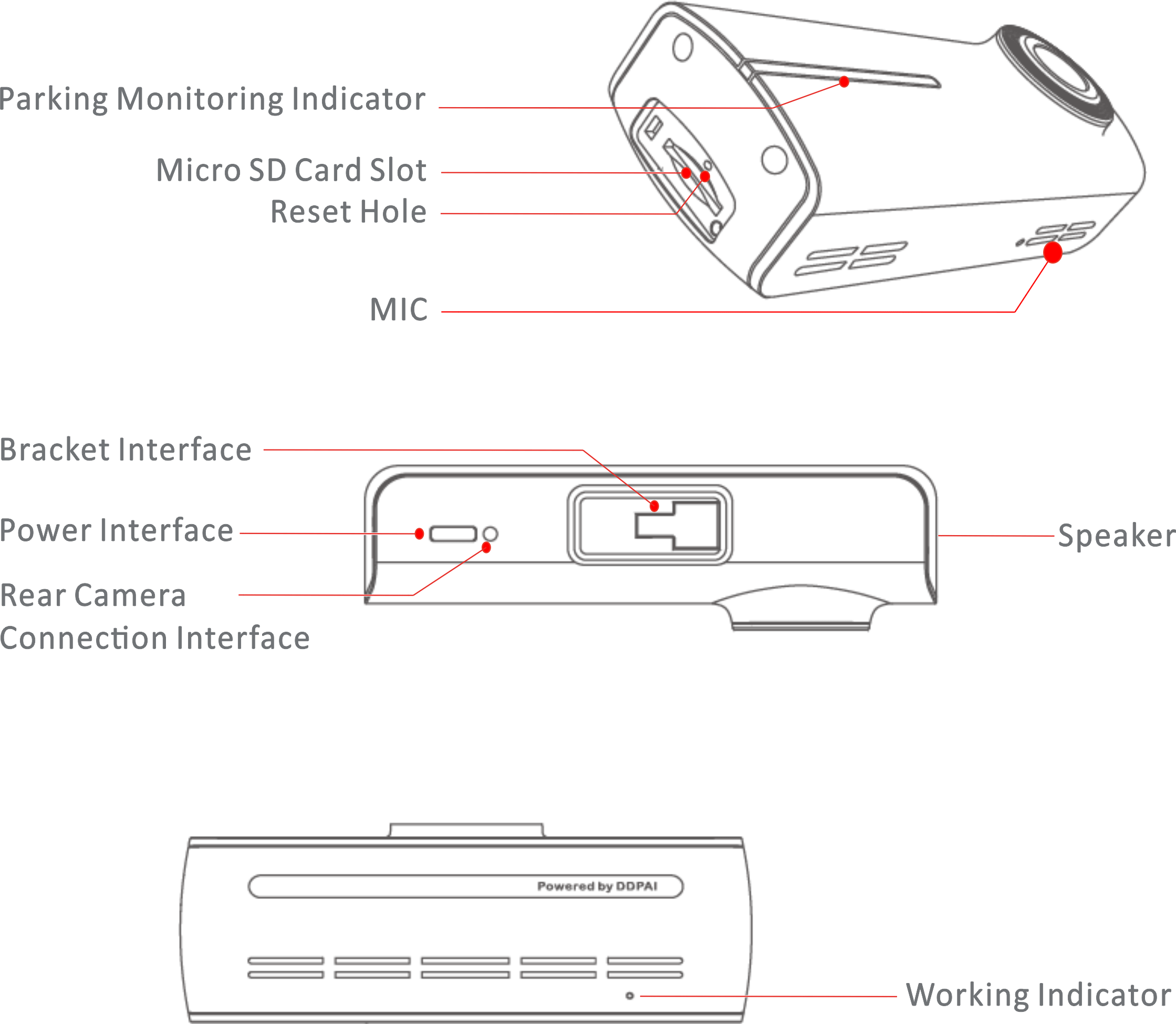 n1 dual appearance