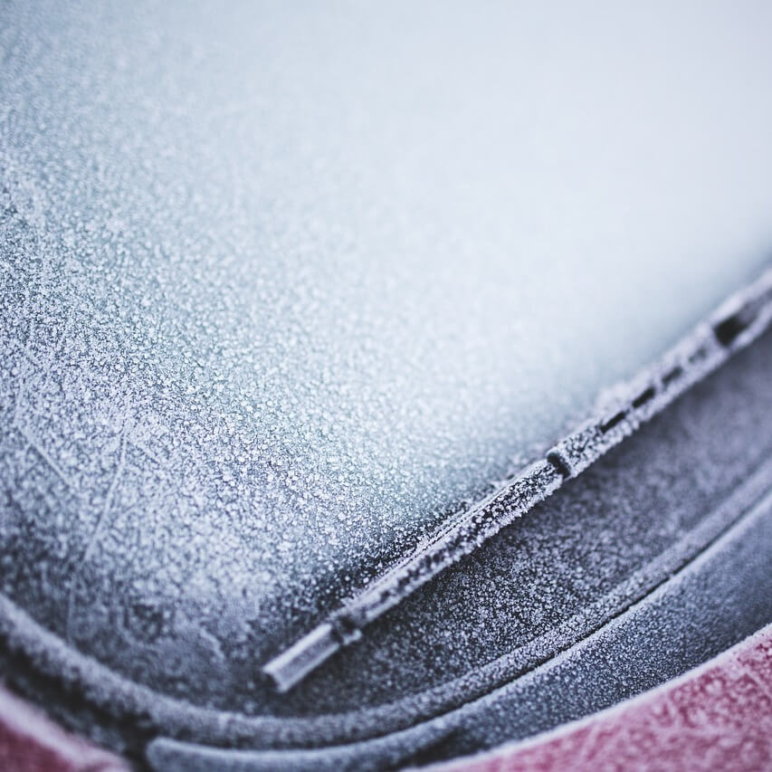 winter