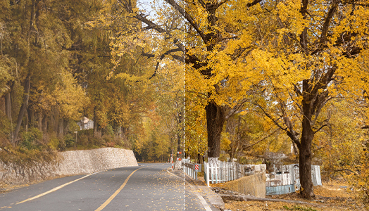DDPAI Z60T Realcube 2.0 image comparison
