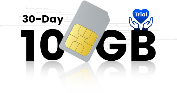 DDPAI 30 day 10GB SIM card trial